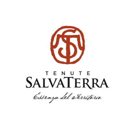 Antica Vigna Pinot Grigio Veneto