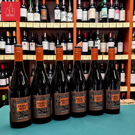 Gnarly Head Pinot Noir California