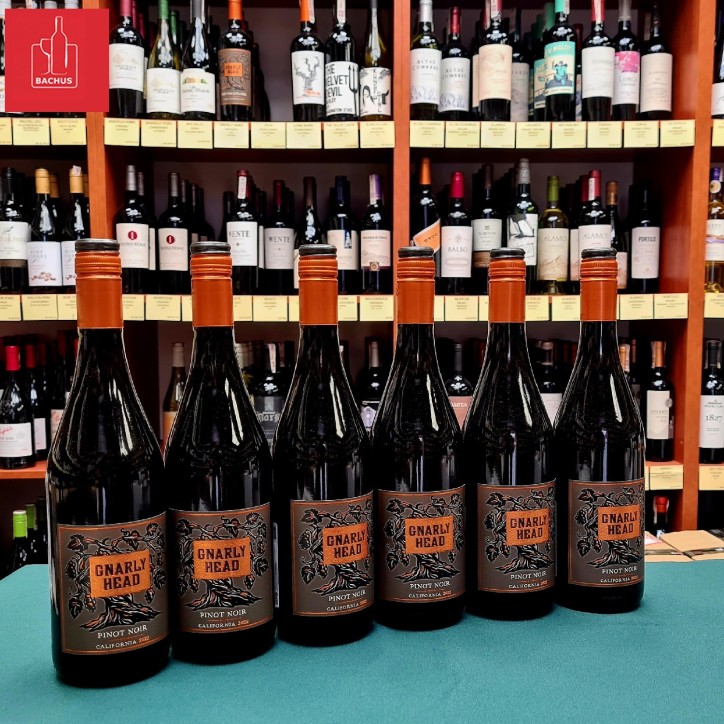Gnarly Head Pinot Noir California