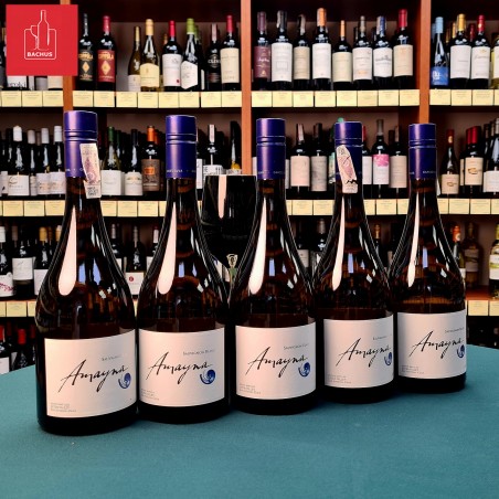 Amayna Sauvignon Blanc