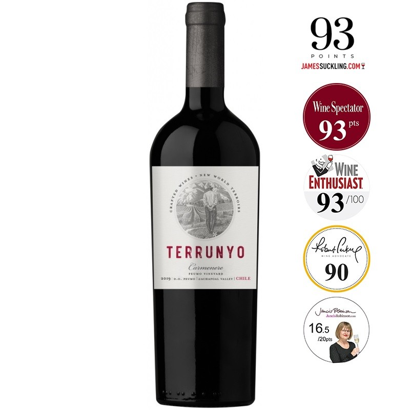 wino czerwone wytrawne Terrunyo Carmenere