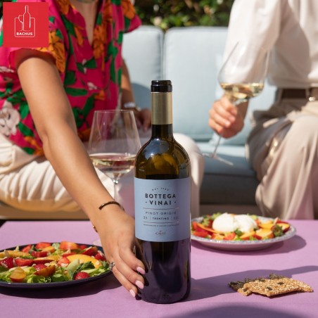 Cavit Bottega Vinai Pinot Grigio Trentino DOC