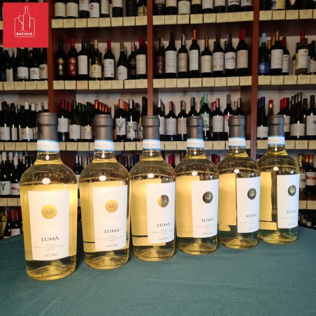 Luma Grillo Sicilia