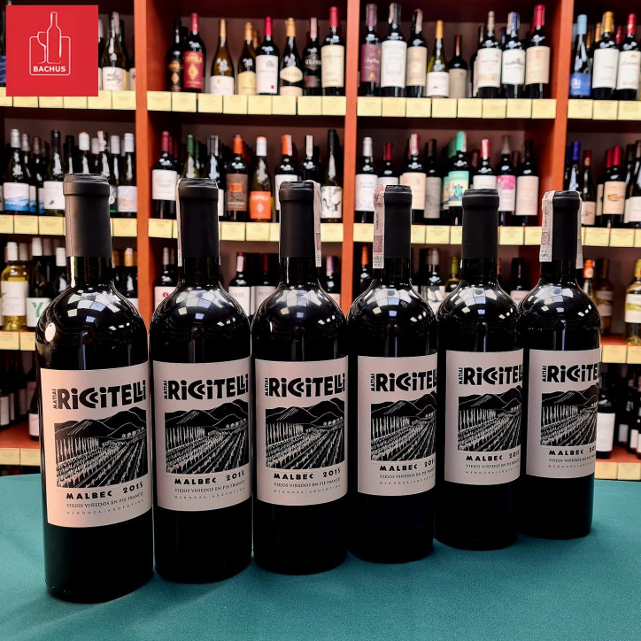 Matias Riccitelli Vineyard Selection Malbec Matias Riccitelli Vineyard Selection Malbec