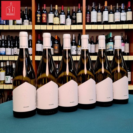 Solaris Turnau Polskie Wino