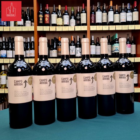 Campo de Arriba Old Vines Murcia