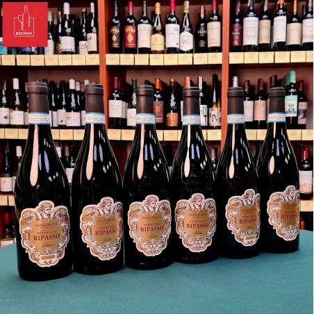 Antica Vigna Valpolicella Ripasso Superiore
