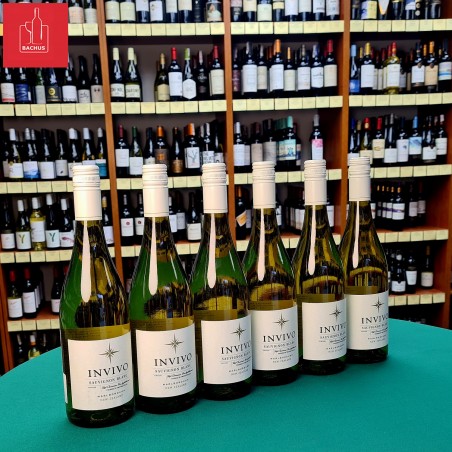Invivo Sauvignon Blanc Marlborough