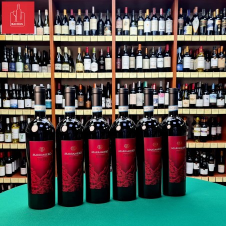Inferi Montepulciano D'Abruzzo Riserva Marramiero DOC