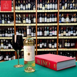 Le Clementin Du Pape Clement White