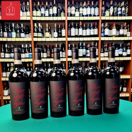 Pian delle Vigne Brunello di Montalcino Antinori
