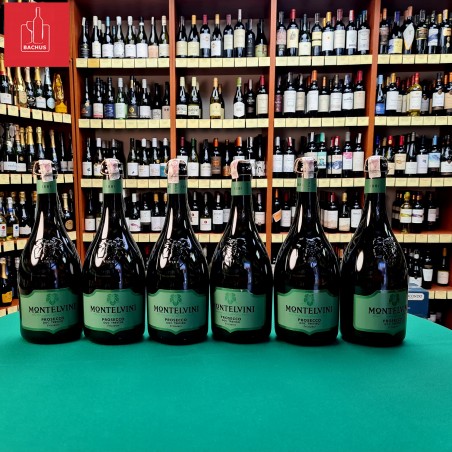 Montelvini Prosecco Treviso Frizzante DOC