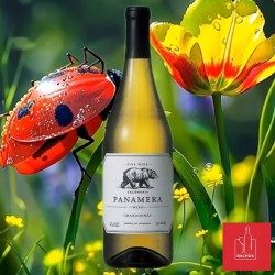 Panamera Chardonnay California Napa Valley