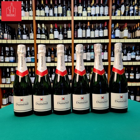 Dumenil Reserve Champagne