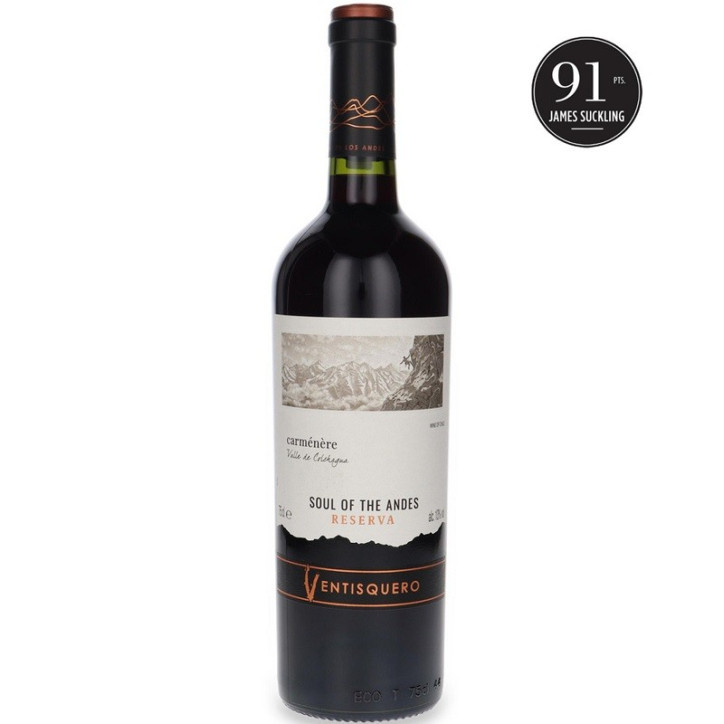 Ventisquero Carmenere Reserva Maipo Valley