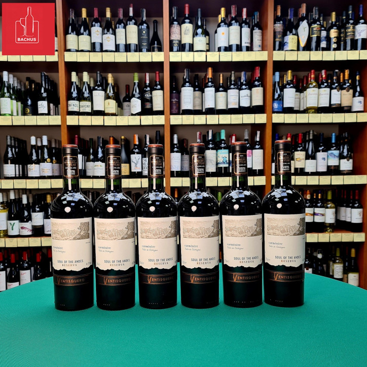 Ventisquero Carmenere Reserva Maipo Valley
