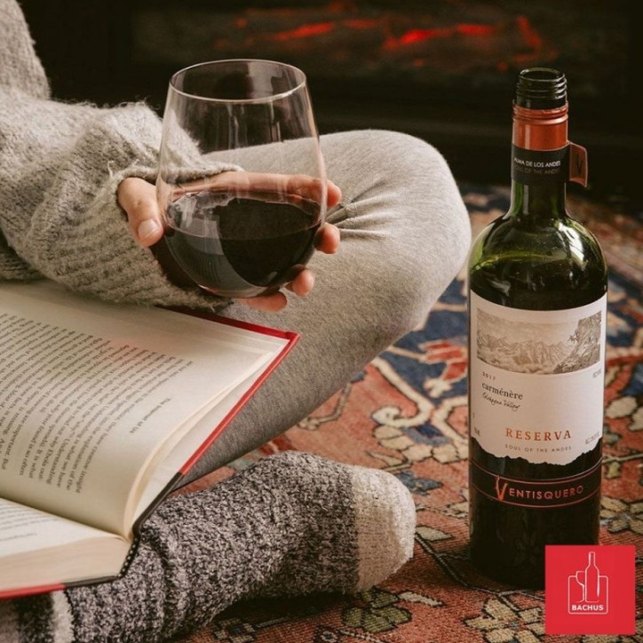 Ventisquero Carmenere Reserva Maipo Valley