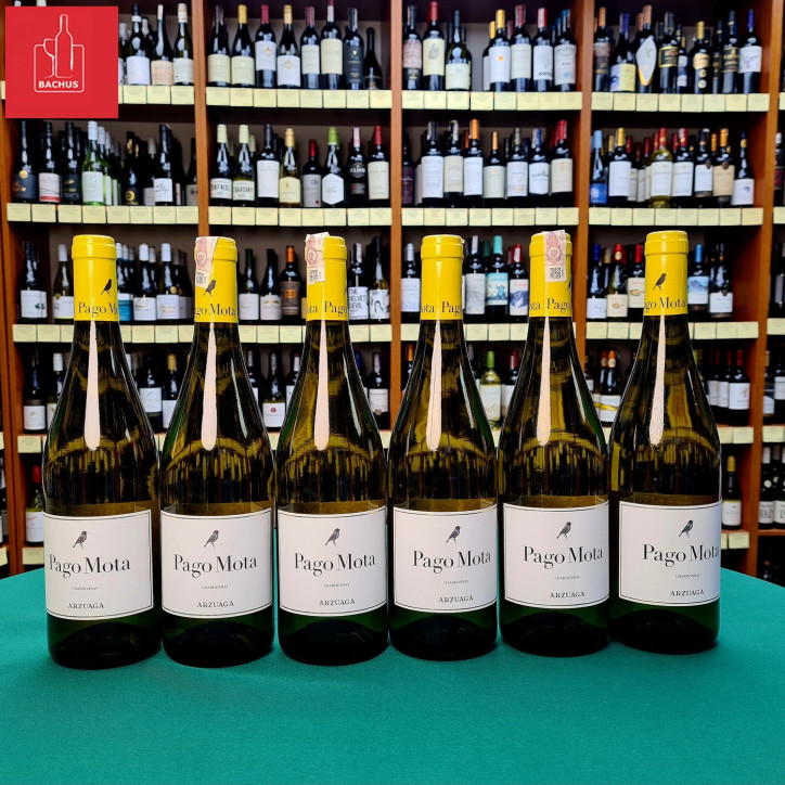 Bodegas Arzuaga Navarro Pago Mota Chardonnay