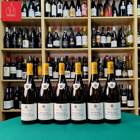 Prosper Maufoux Hautes Cotes de Beaune Blanc