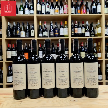 El Esteco Malbec Salta Viñedos de Altura 2017