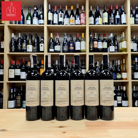 El Esteco Fincas Notables Malbec