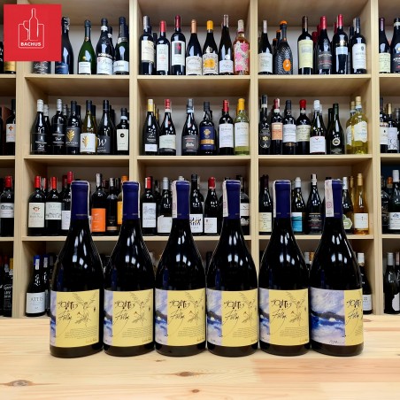 Montes Folly Syrah Santa Cruz Valley