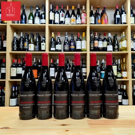 Amarone Della Valpolicella Classico Domini Veneti D.O.C.