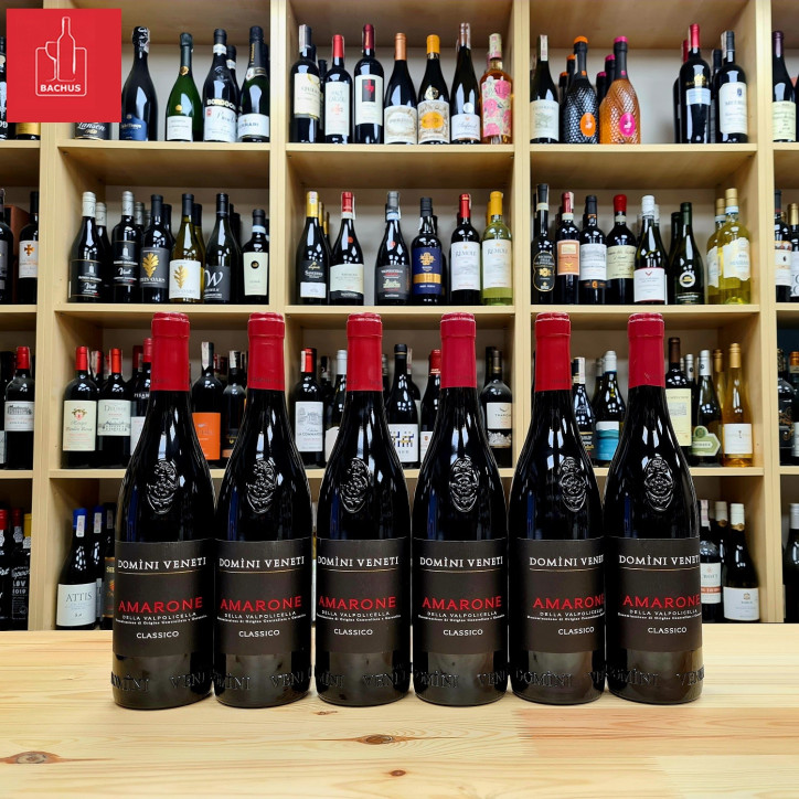 Amarone Della Valpolicella Classico Domini Veneti D.O.C. Amarone Della Valpolicella Classico Domini Veneti D.O.C.