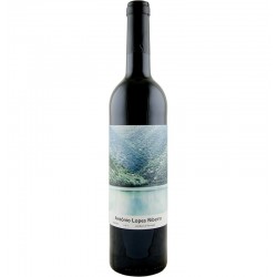Antonio Lopes Ribeiro Douro