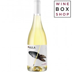 Aula Macabeo Sauvignon Blanc