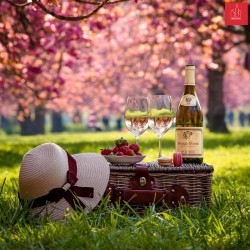 Louis Jadot Pouilly Fuisse A.C