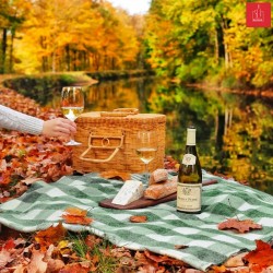 Louis Jadot Pouilly Fuisse A.C