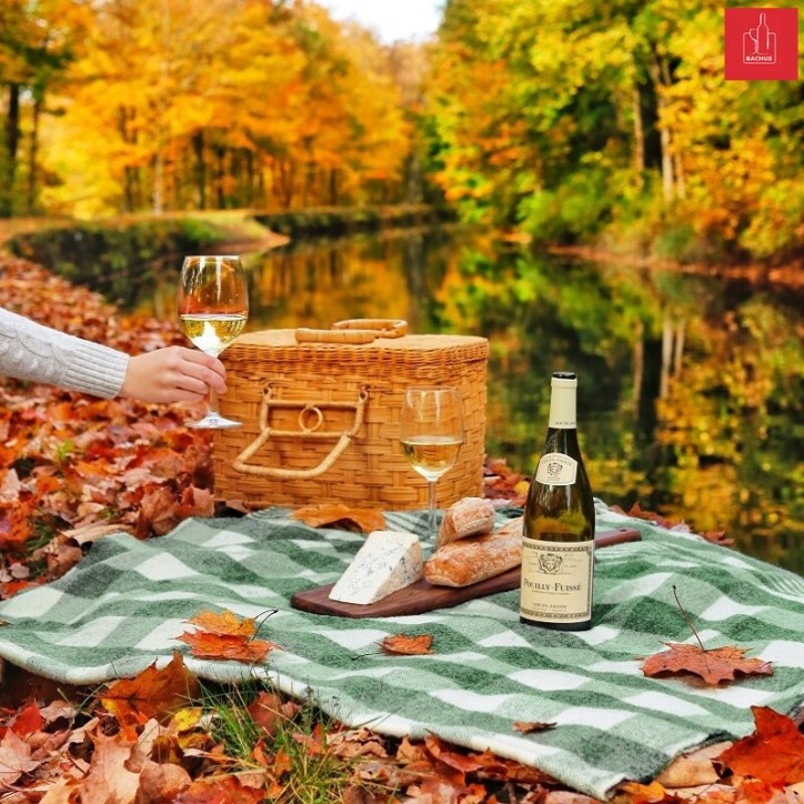 Louis Jadot Pouilly Fuisse A.C