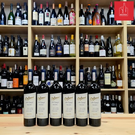 Colome Lote Especial La Brava Malbec
