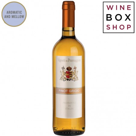 Terra Musa Pinot Grigio Venezia