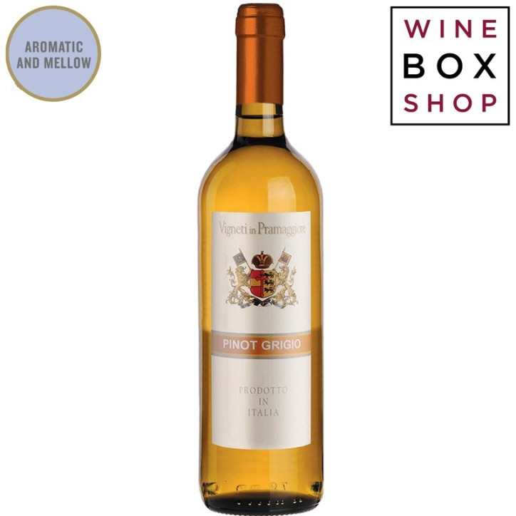 Terra Musa Pinot Grigio Venezia Terra Musa Pinot Grigio Venezia