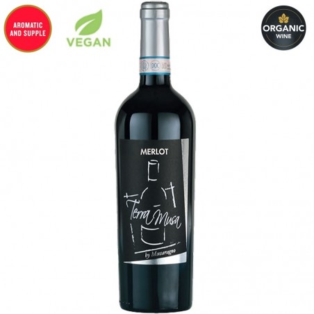 Terra Musa Merlot Veneto
