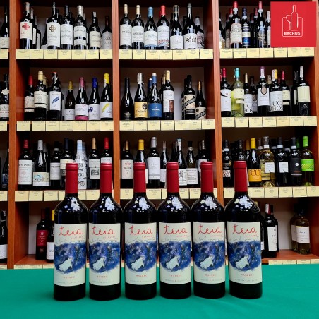 Teia Malbec Bodega Lagarde