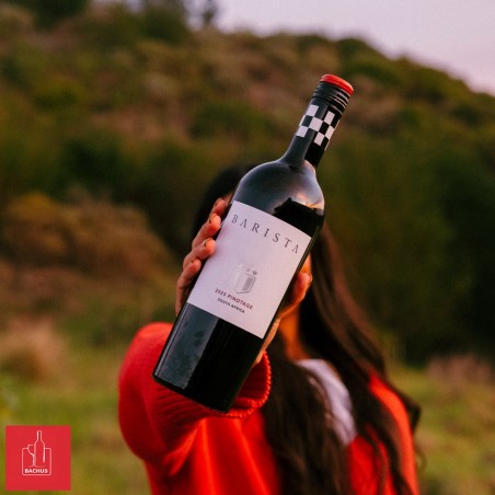 Barista Pinotage Western Cape