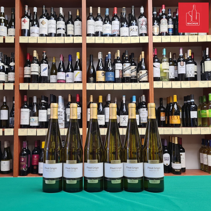 Cavit Mastri Vernacoli Pinot Grigio Trentino DOC Cavit Mastri Vernacoli Pinot Grigio Trentino DOC