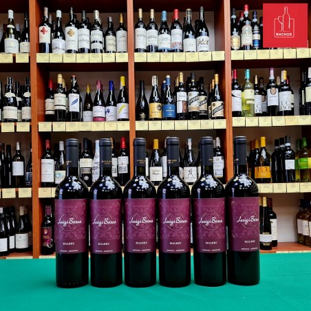 Luigi Bosca Malbec Mendoza