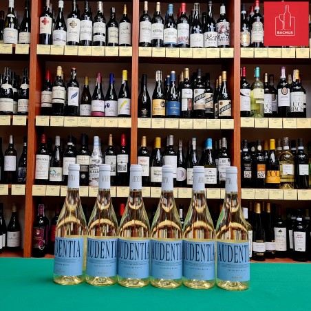 Audentia Sauvignon Blanc