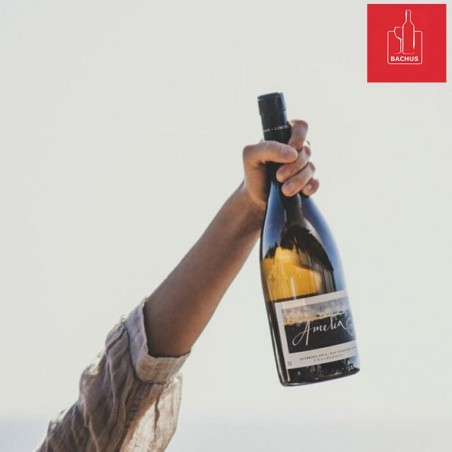 Amelia Chardonnay Concha Y Toro
