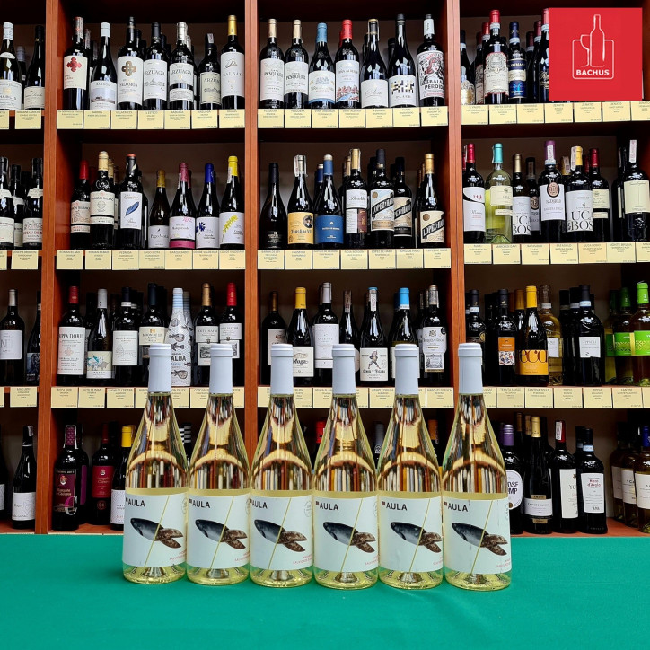 Aula Macabeo Sauvignon Blanc Aula Macabeo Sauvignon Blanc