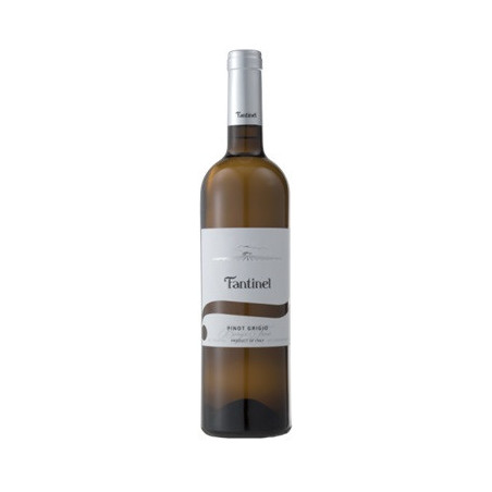 Fantinel Borgo Tesis Pinot Grigio Friuli