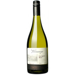 Terrunyo Chardonnay