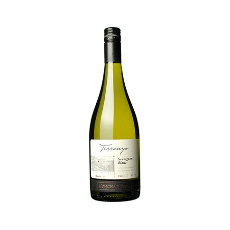 wino białe, wytrawne Terrunyo Chardonnay