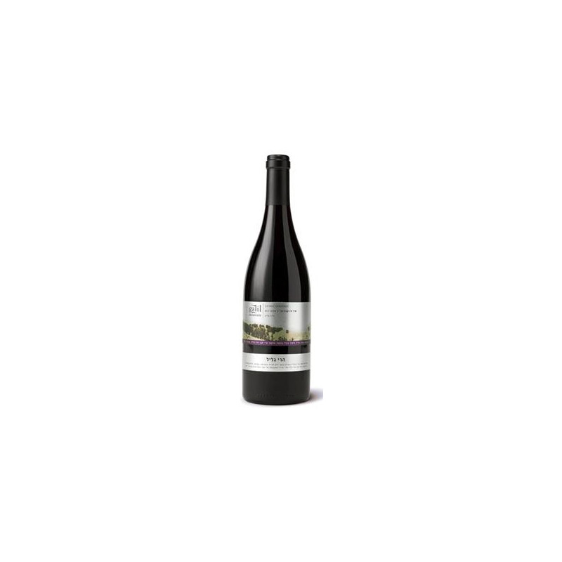 Wino Galil Mountain Shiraz Cabernet