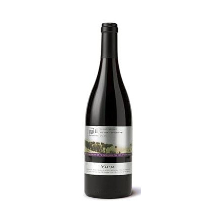 Wino Galil Mountain Shiraz Cabernet