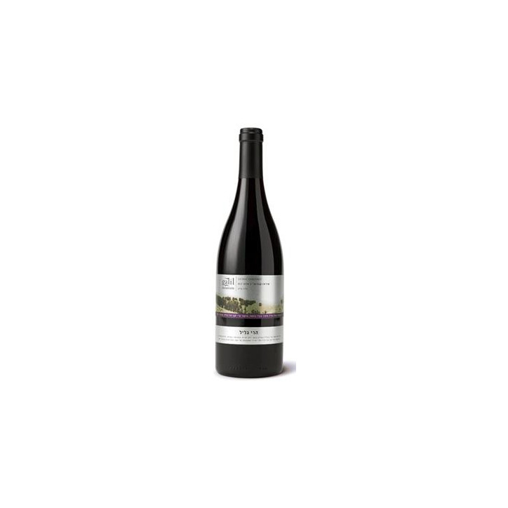 Wino Galil Mountain Shiraz Cabernet Wino Galil Mountain Shiraz Cabernet